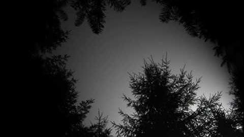 Thumbnail of Celtic woman - Caledonia  with lyrics