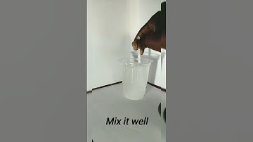 A lemon floats in saltwater because saltwater is denser than fresh water, and objects float #science