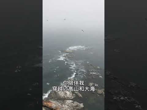 #台灣 #楊培安#風中的羽翼