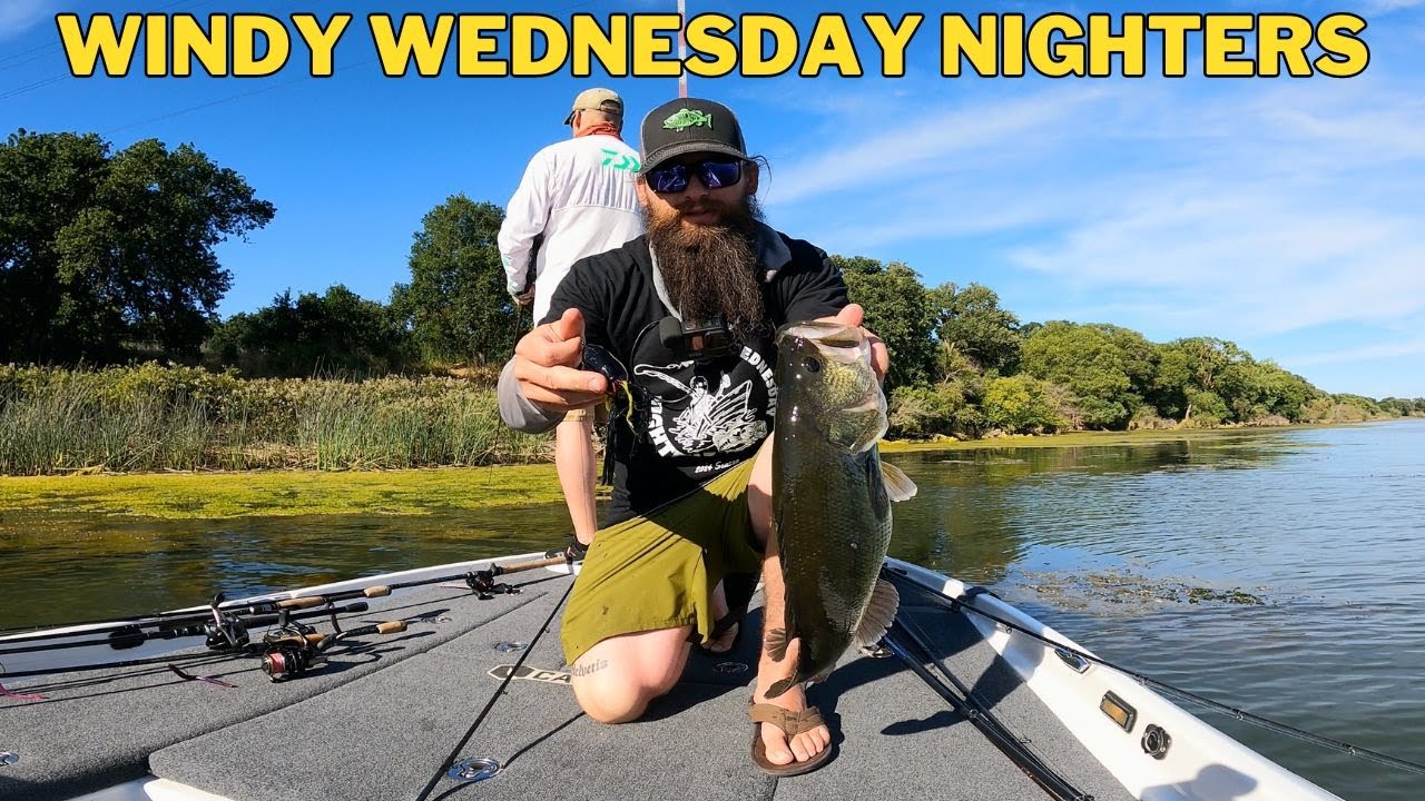 Windy Wednesday Nighters Biggest Bag Yet… California Delta