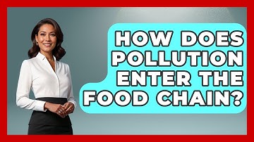 How Does Pollution Enter the Food Chain? | Explaining Ecology News