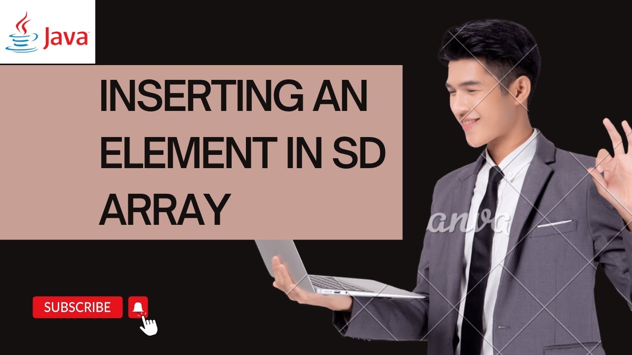 Inserting an Element in SD- Array || Java Programming ||  SB Codes 