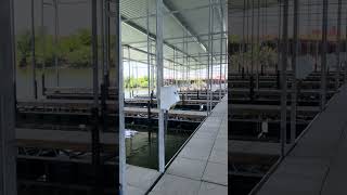 IMG 4046 IMG 4046