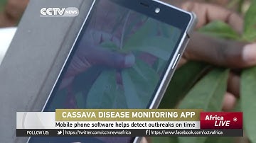 Cassava disease monitoring App