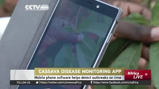 Cassava disease monitoring App screenshot 2