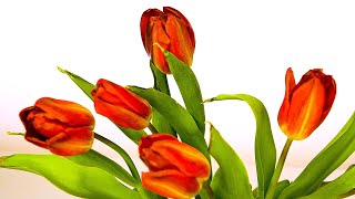 Sanfte Klaviermusik - Schöne Tulpen | Hintergrund Musik und Video - Ambiente - Relax - Meditation screenshot 2