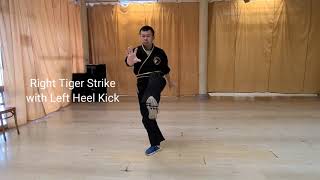 Kung Fu: Black Tiger Fist Lesson 1