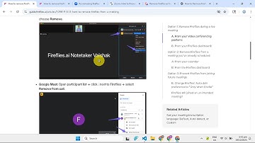 How To Remove Fireflies Ai From Zoom