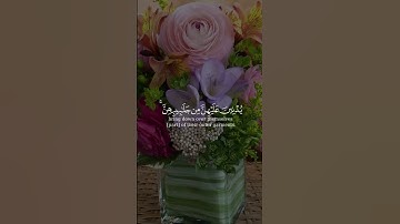 يا أيها النبي قل لأزواجك بصوت الشيخ فارس عباد من سورة الاحزاب