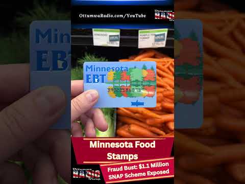 Hernando Food Stamp Office