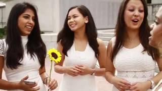 Tri Delta UC Berkeley Recruitment Video 2016