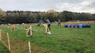 Kelluki agility 18 Oct 2020