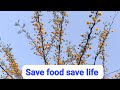 Good morning 🌞🌞🌞"Food is life, so never waste it"
