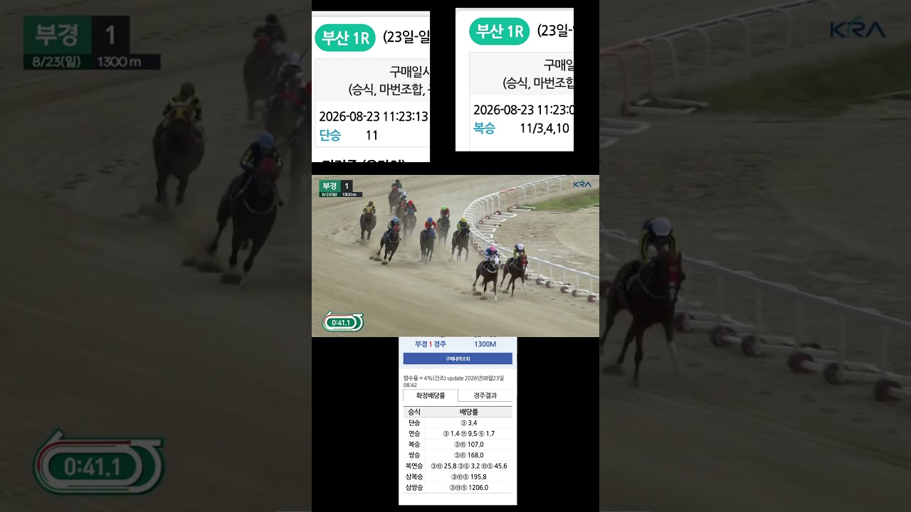 백 배적중  축11  놓고01055876275