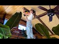 Diy ceiling transformation  a living room makeover