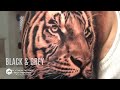 Black &amp; Grey Lion Tattoo Artist Galindo #tattooartist #liontattoo #foryou Platinumtattoos.com/