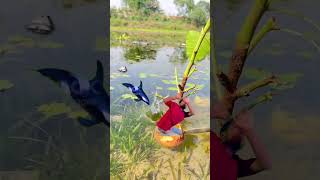 Magic crative coconut 🥥 idea 💡 amazing videography 💯👀😱 Mobile phone #ytshorts #trending #magic