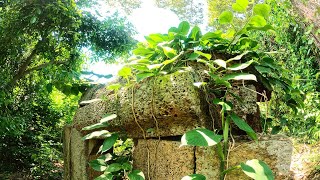 Ong Mong Temple, Siem Reap, Cambodia, Virtual Walk 4K GoPro - Video Sumsooth 106