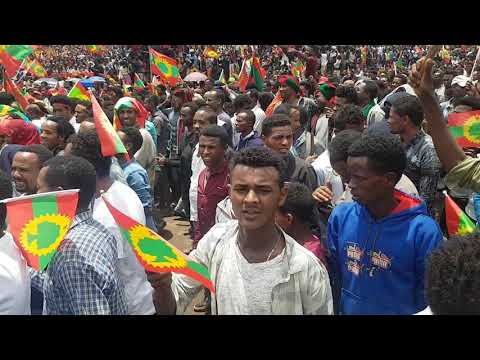 OLF ABO ZARIHUN WADAJO Oromoo Walakkaan Jiraa Jedha