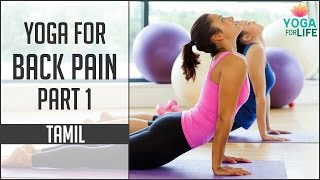 Yoga For Back Pain - Part 1 | Yoga Lessons in Tamil | Yoga For Life Yoga For Back Pain - Part 1 | Yoga Lessons in Tamil | Yoga For Life