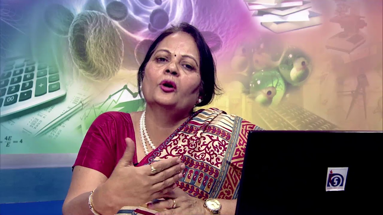 Pedagogical Organisation of Teaching Learning in EVS at Primary Stage