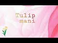 Tulip design | regular polish mani | advance stamping | beginner friendly nail art