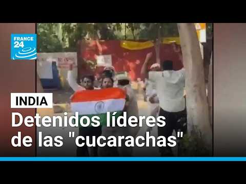 India: líderes del "Partido de las Cucarachas" fueron detenidos por protestar en sitio histórico