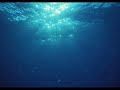 ダイアモンドダストが消えぬまに(2011.01.03)
