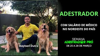 R$68.000,00 em 3 meses adestrando cães