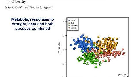 Metabolic network - Part 2