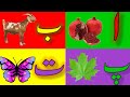 Alif se anaar || Urdu alphabets || Alif Bay pay