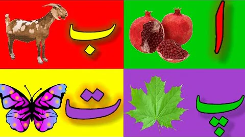 Alif se anaar || Urdu alphabets || Alif Bay pay