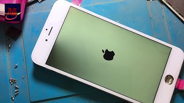 How to IPhone 6 plus blank screen in left side!Half backlight solution