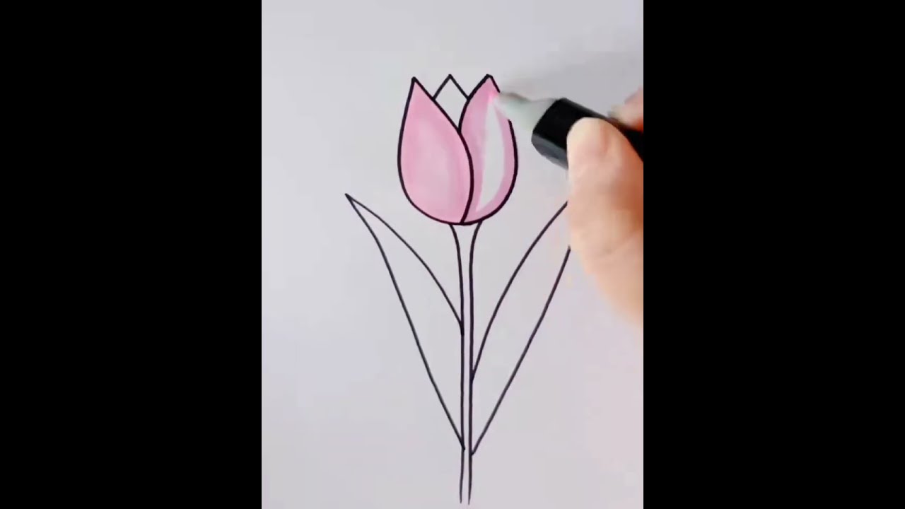 Easy Drawing Tricks Of Tulips