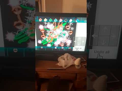 Wii Photo Channel Insanity 