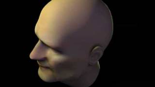 3D Head Test
