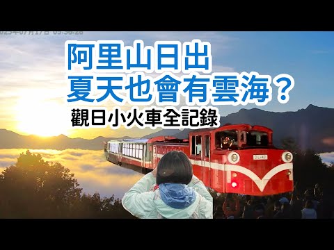 開箱穿越黎明森林的小火車｜阿里山夏天的日出｜小笠原觀日平台真的更好嗎？#阿里山 #日出 #alishan#攻略