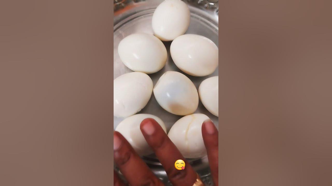 egg-veg-or-non-veg-pls-comment-ur-openion-waiting-ur-answer