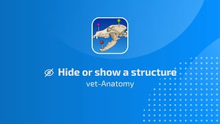 vet-Anatomy: Hide or Show a structure screenshot 3