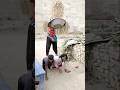 #funny #comedy #viral #video
