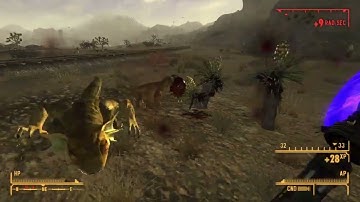 Golden Gecko Hunting (Fallout: New Vegas)