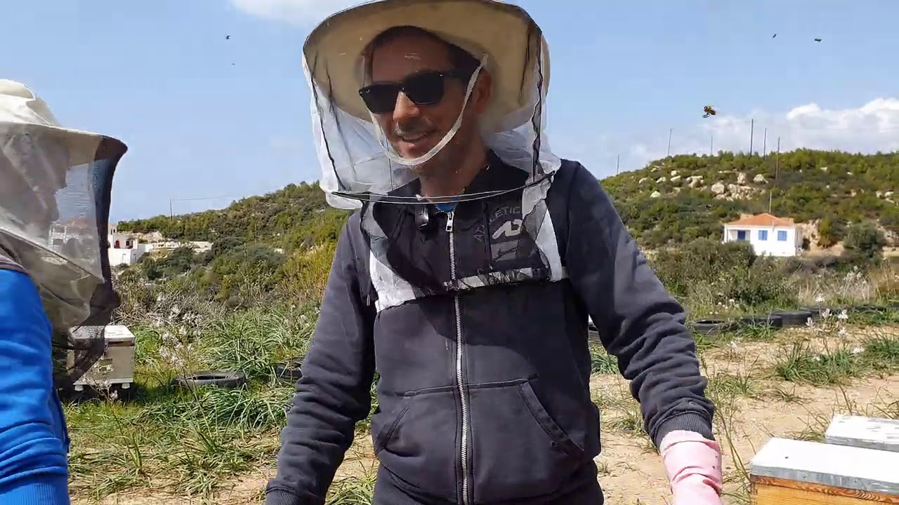 Πώς κάνω επιλογή μελισσιών για κόψιμο παραφυάδων. Μάρτιος 2021