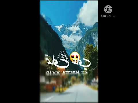 حاله واتس مهرجان ملوك الجدعنه