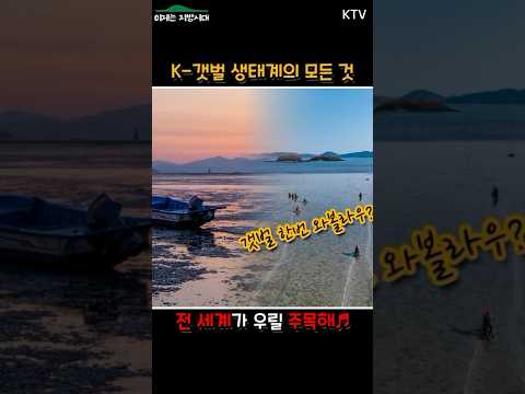 [지역정보갤러리] <strong>사천</strong>! 가족들을 위한 갯벌 체험, 지금 신청하세요!  #<strong>사천</strong> #갯벌 #여행 #<strong>맛집</strong>