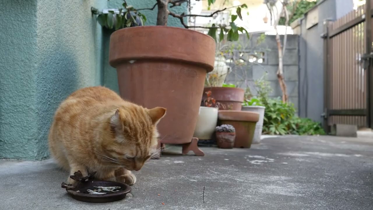 2026年02月28日15時19分