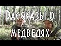 Рассказы о медведях, встречи с медведем, нападения медведя Часть 1