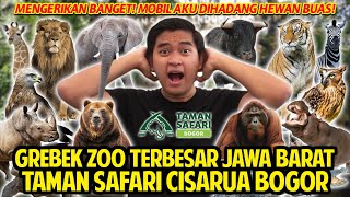 MASUK HUTAN BUATAN DIHADANG HEWAN LIAR DILINDUNGI! SEDEKET INI SAMA HEWAN BUAS! TAMAN SAFARI BOGOR!