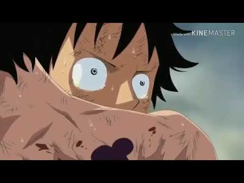 【ＭＡＤ ワンピース ともに