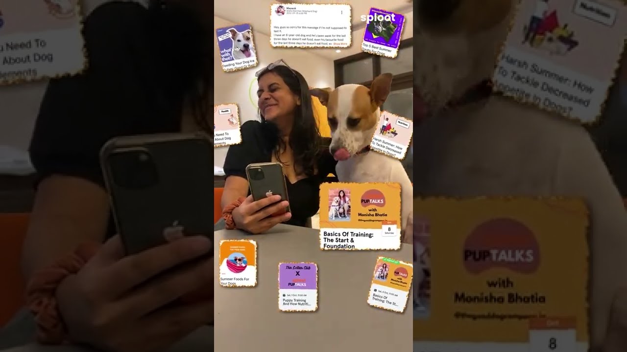 Better Dog Parenting with the sploot app! Download Now. 