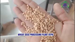 Top Seed Cleaning Machine Manufacturer | Wheat Seed Processing Plant 4tph | Agro Asian Industries
